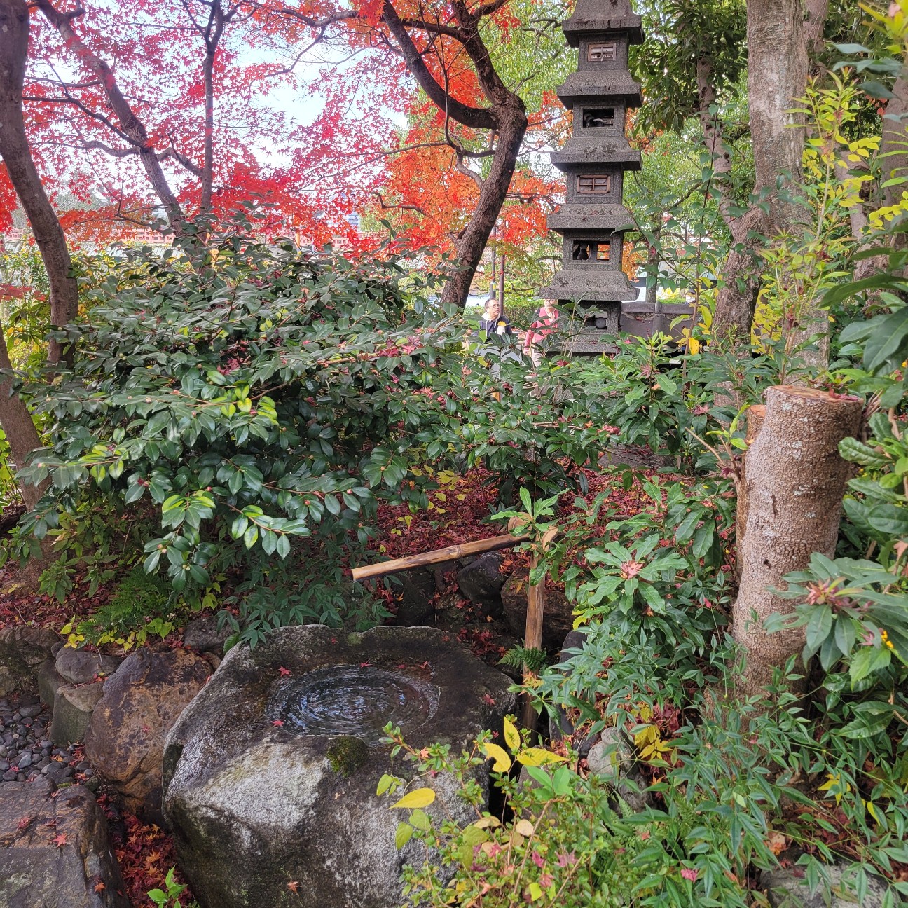 f:id:atoriatoriatori:20260105090740j:image