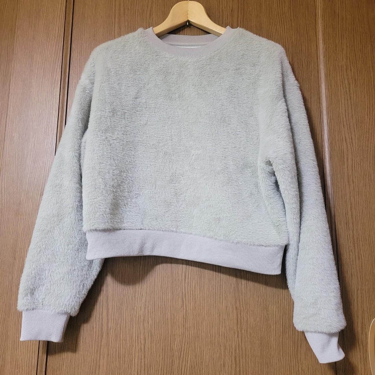 f:id:atoriatoriatori:20260105105927j:image