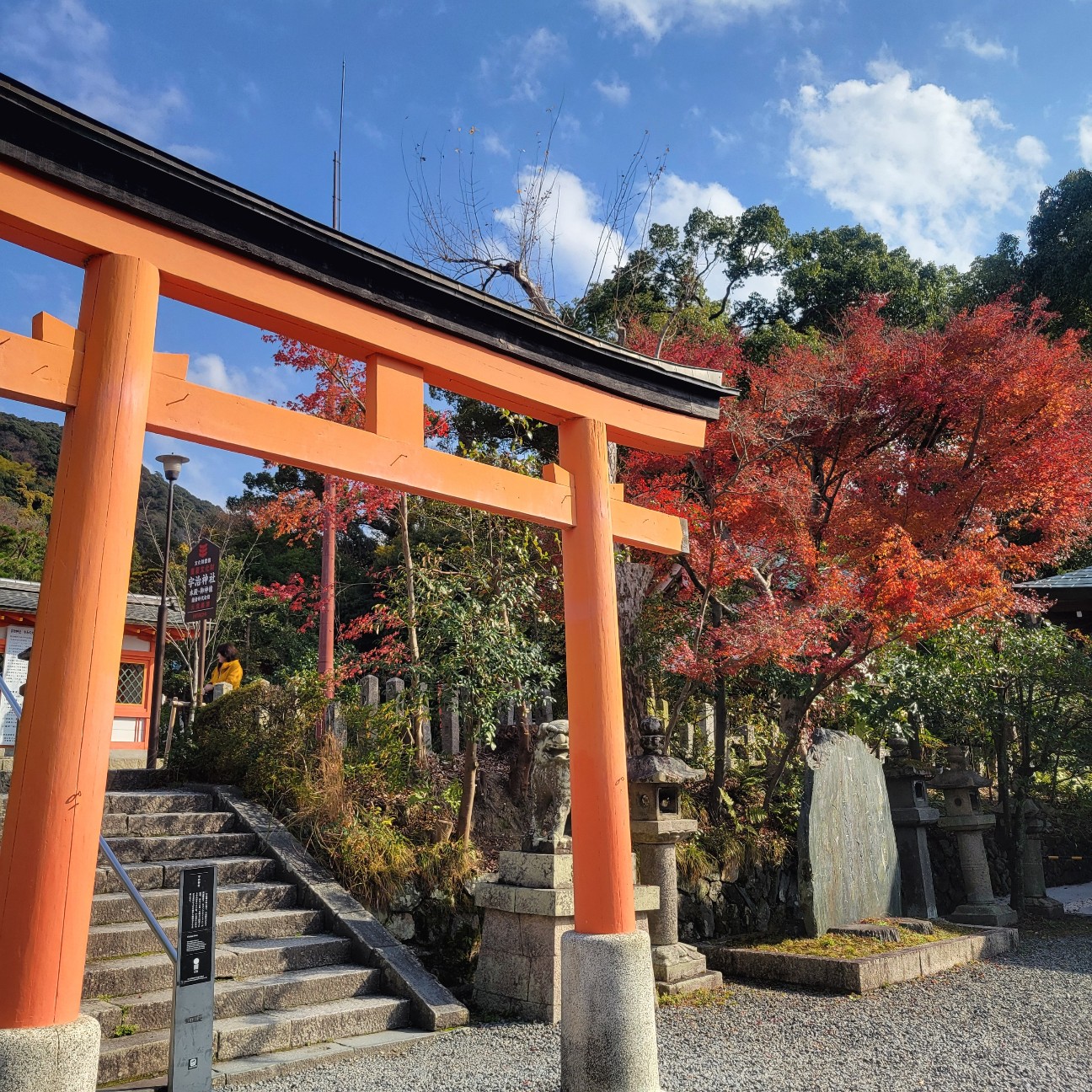 f:id:atoriatoriatori:20260106202448j:image