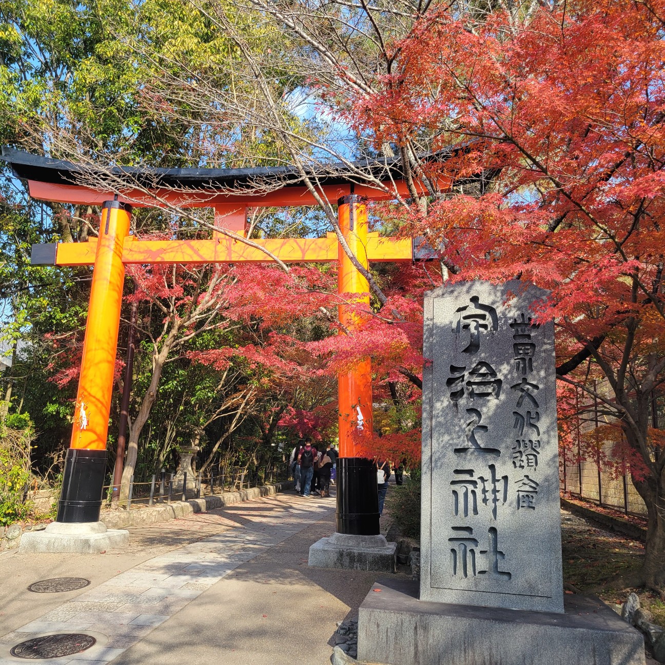 f:id:atoriatoriatori:20260107082908j:image