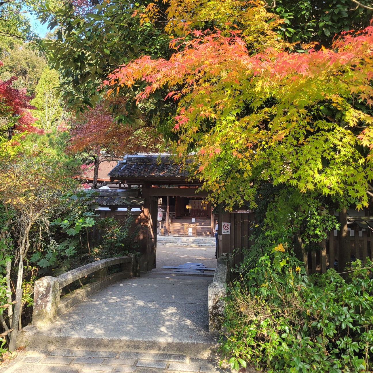 f:id:atoriatoriatori:20260107085130j:image