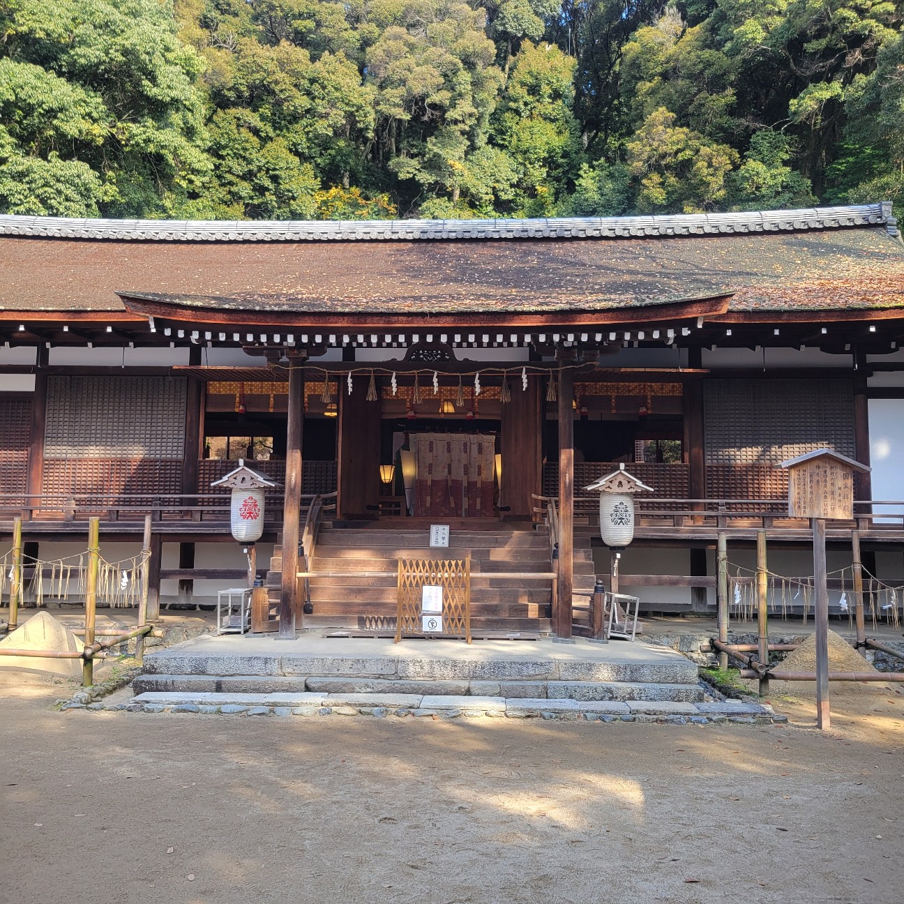 f:id:atoriatoriatori:20260107085155j:image