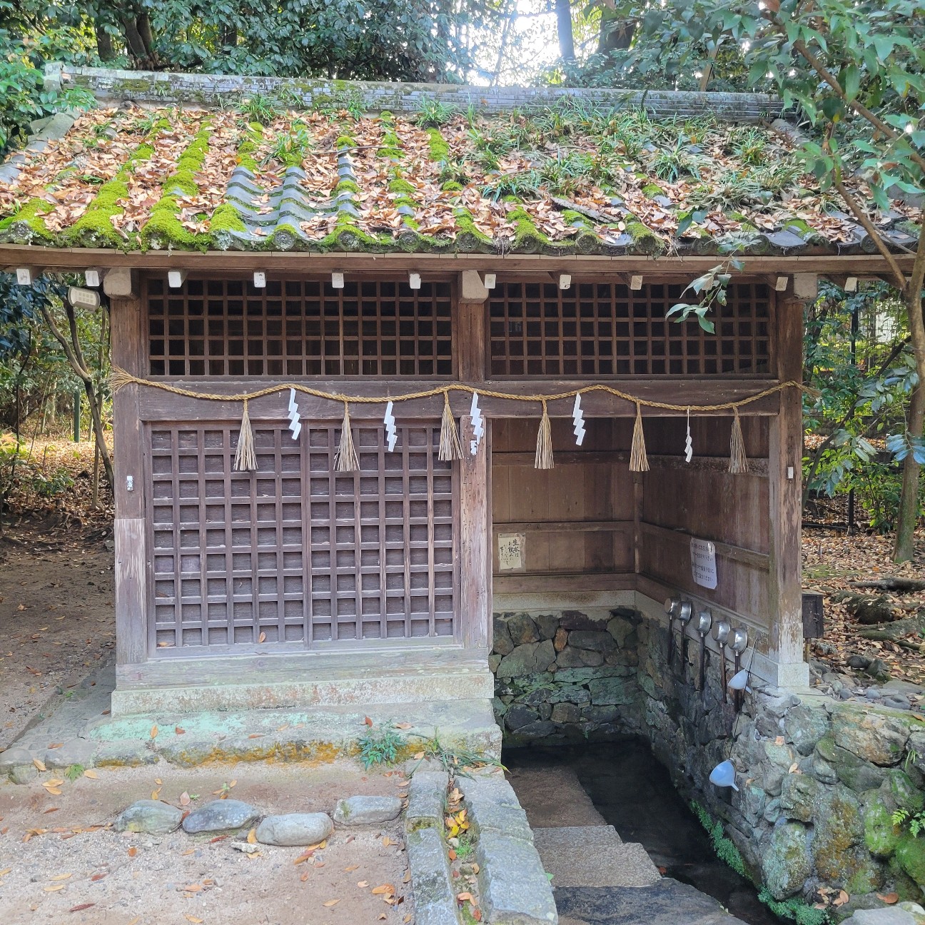 f:id:atoriatoriatori:20260107085708j:image