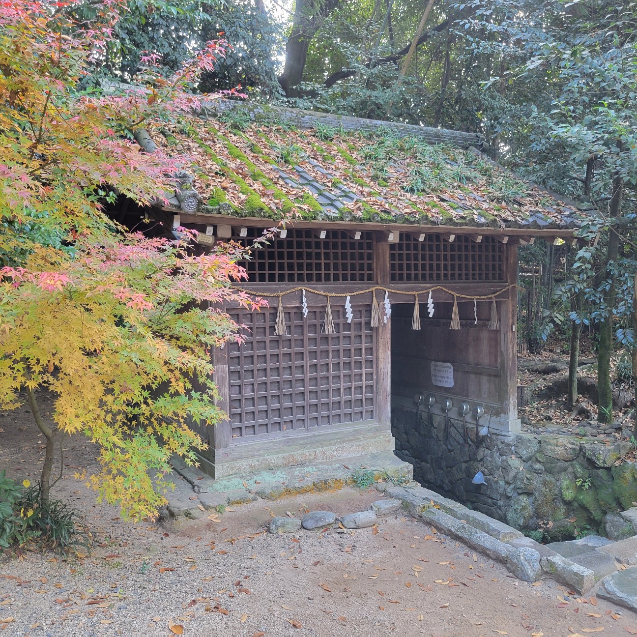 f:id:atoriatoriatori:20260107085715j:image