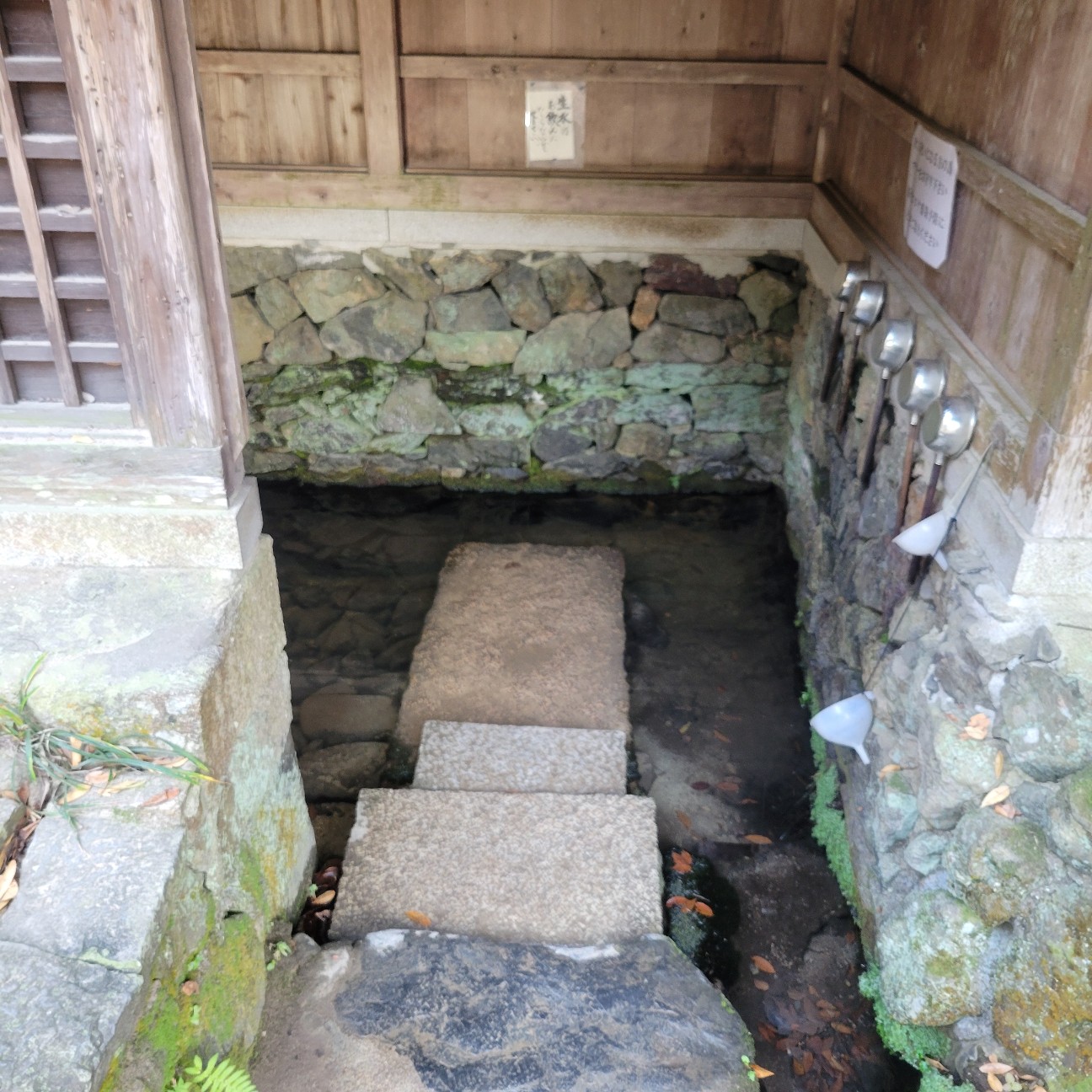 f:id:atoriatoriatori:20260107085732j:image