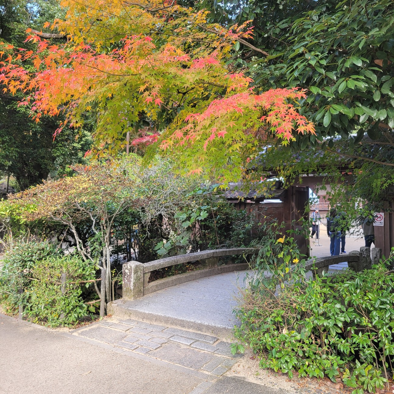 f:id:atoriatoriatori:20260107093413j:image