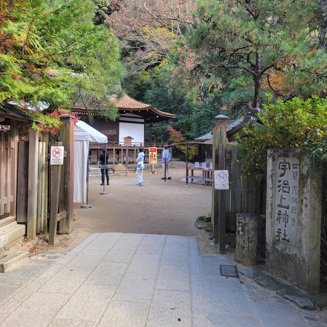 f:id:atoriatoriatori:20260107093434j:image