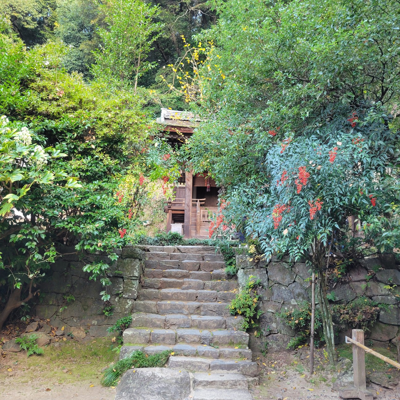 f:id:atoriatoriatori:20260107093726j:image