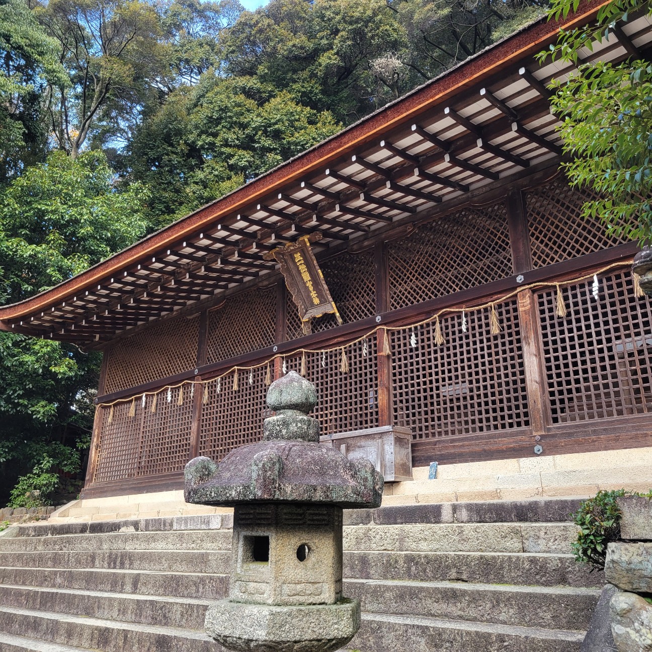 f:id:atoriatoriatori:20260107093734j:image