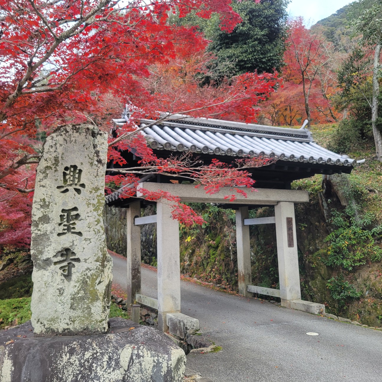 f:id:atoriatoriatori:20260107204429j:image