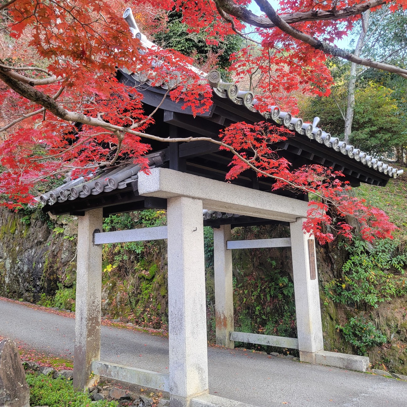 f:id:atoriatoriatori:20260108080017j:image