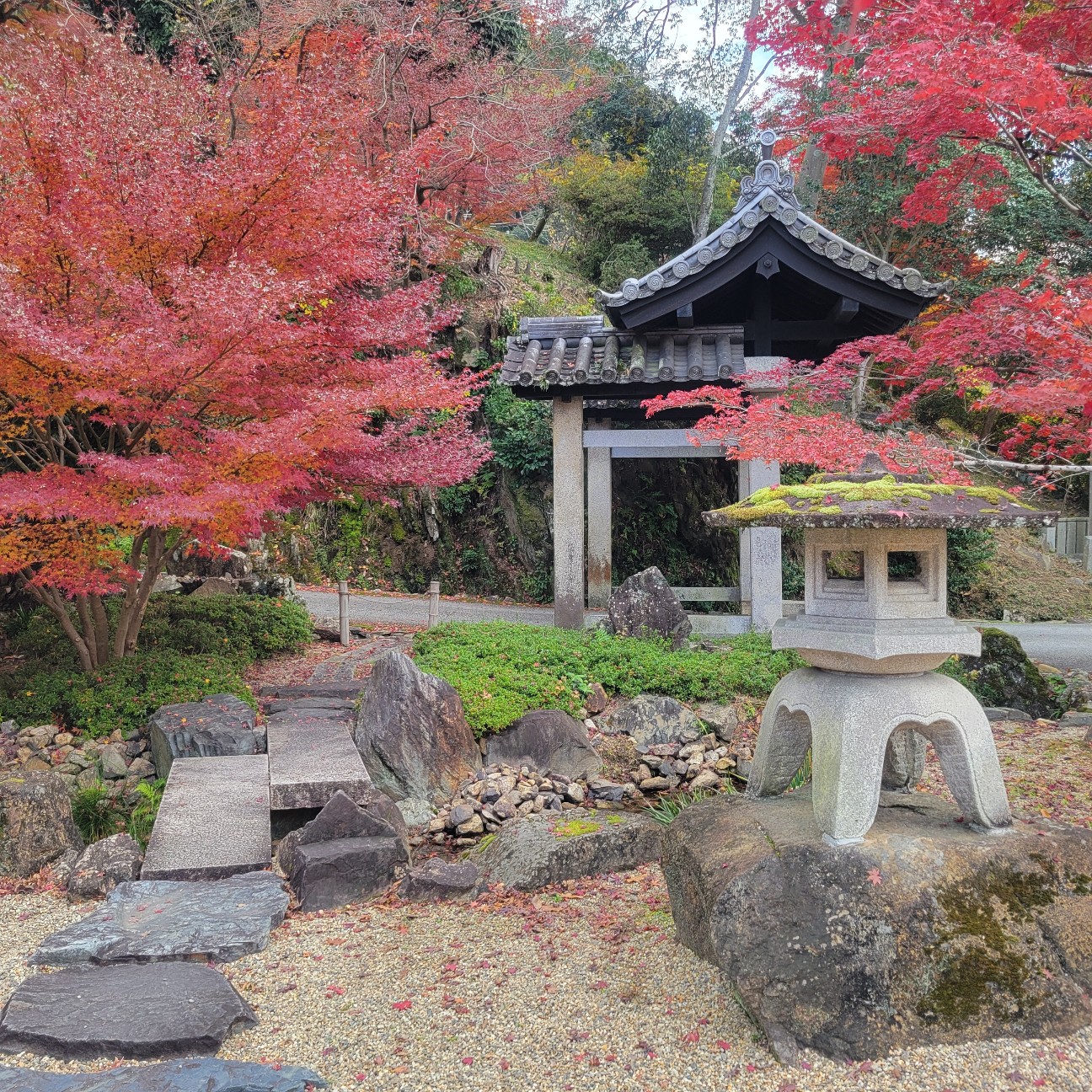 f:id:atoriatoriatori:20260108080111j:image