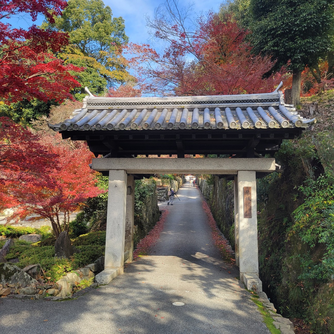 f:id:atoriatoriatori:20260108080358j:image