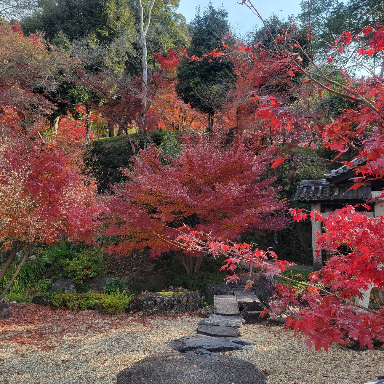 f:id:atoriatoriatori:20260108081120j:image