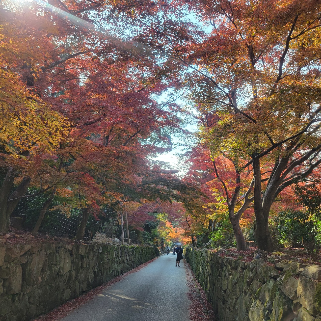 f:id:atoriatoriatori:20260108092015j:image