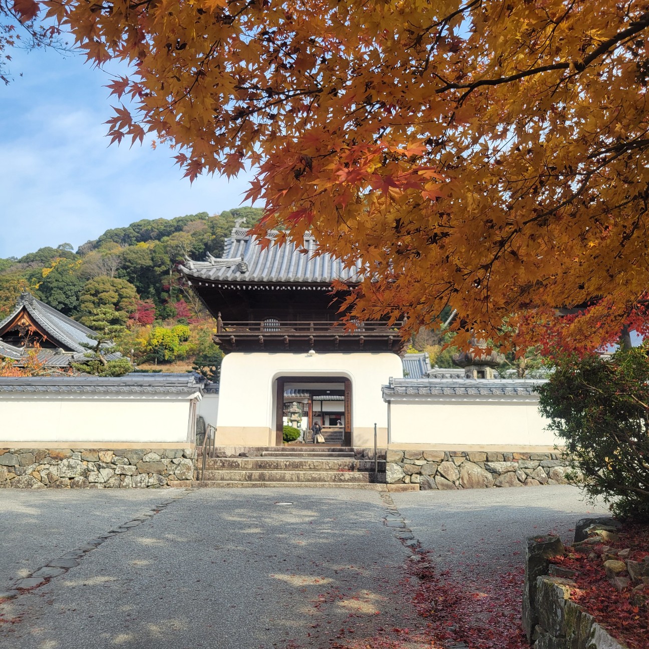 f:id:atoriatoriatori:20260108093926j:image