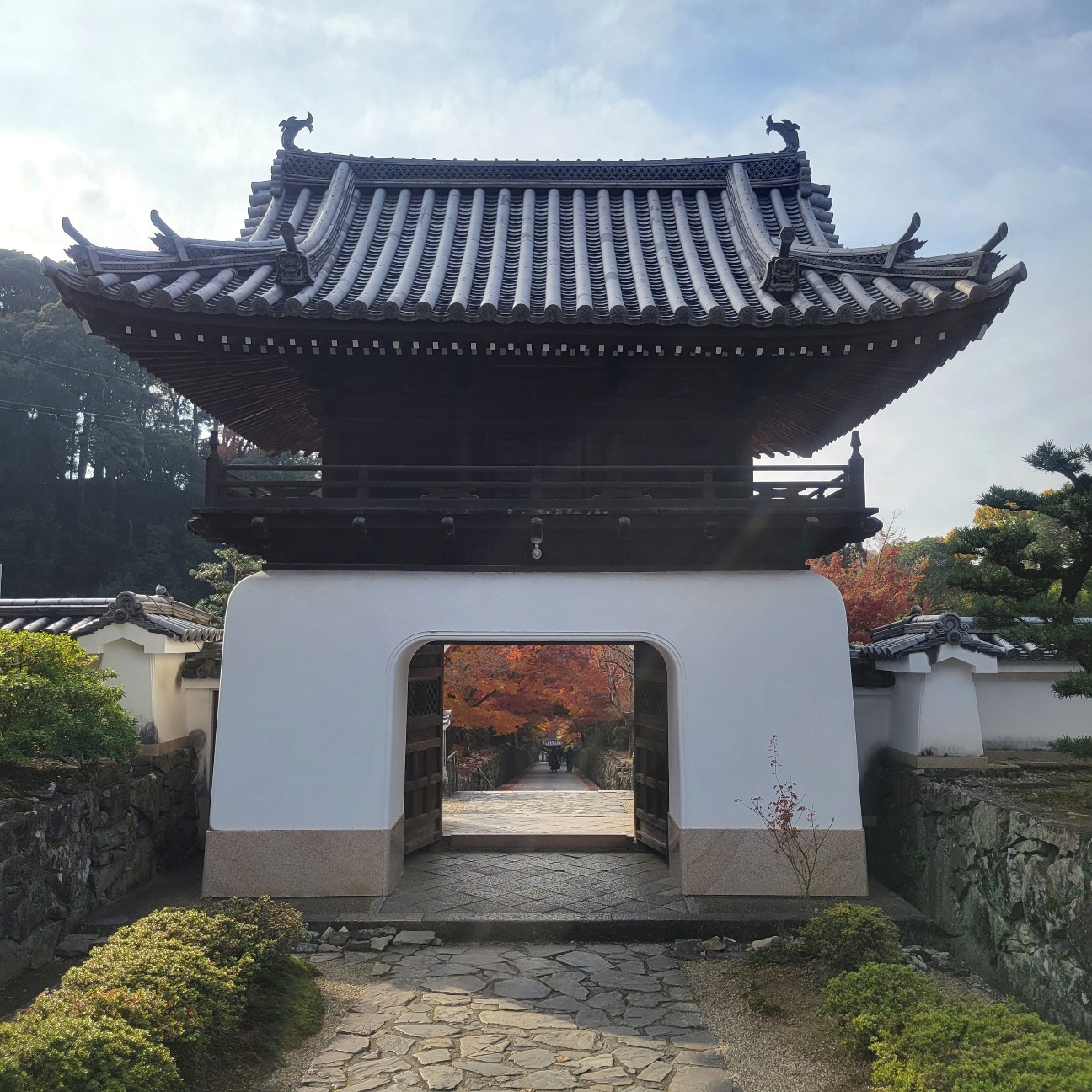 f:id:atoriatoriatori:20260108100240j:image