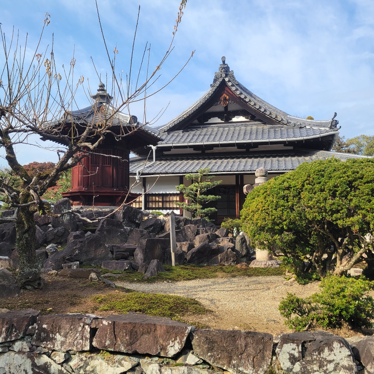 f:id:atoriatoriatori:20260108100356j:image