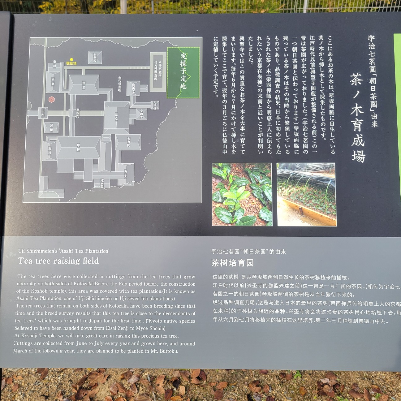 f:id:atoriatoriatori:20260108105027j:image