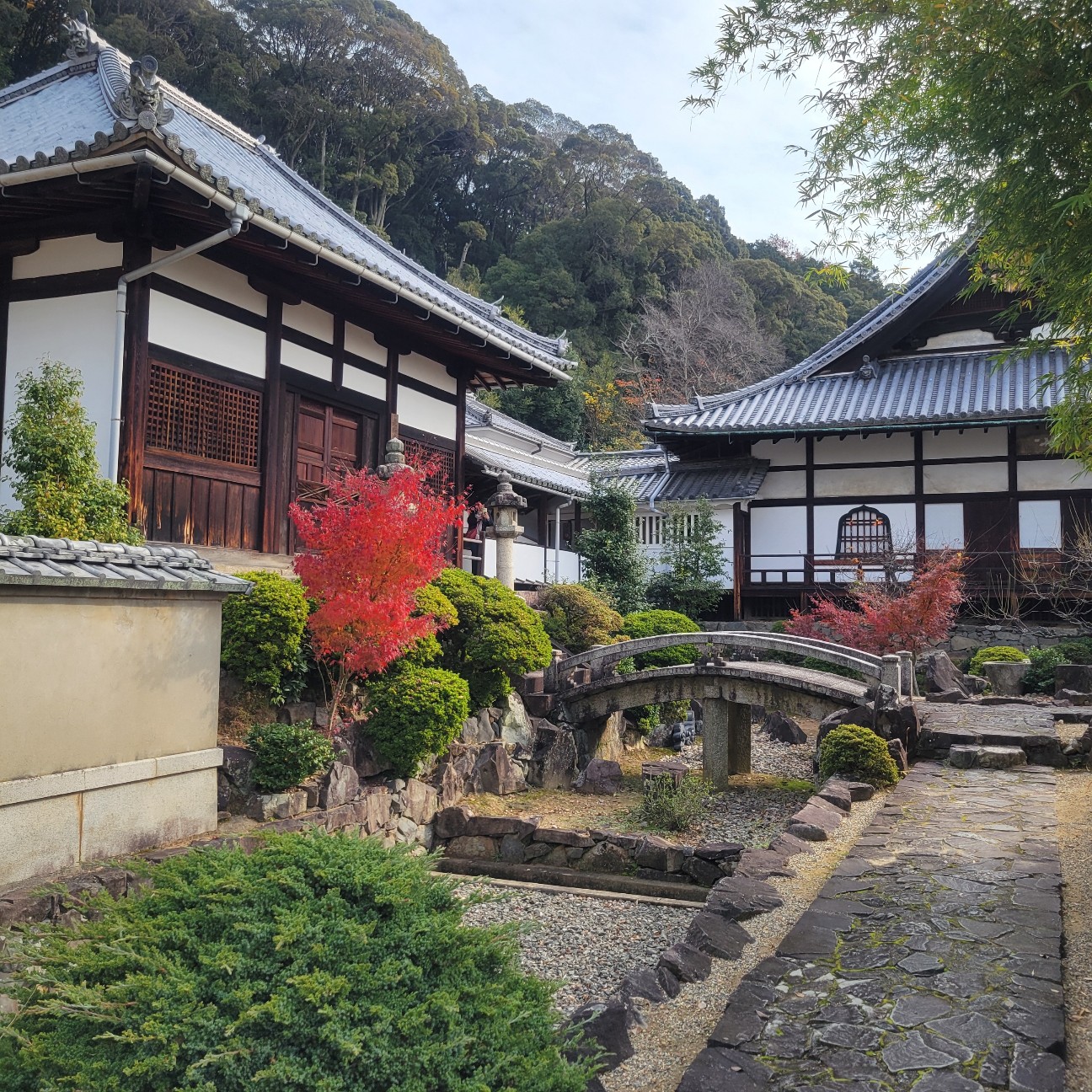 f:id:atoriatoriatori:20260108110125j:image