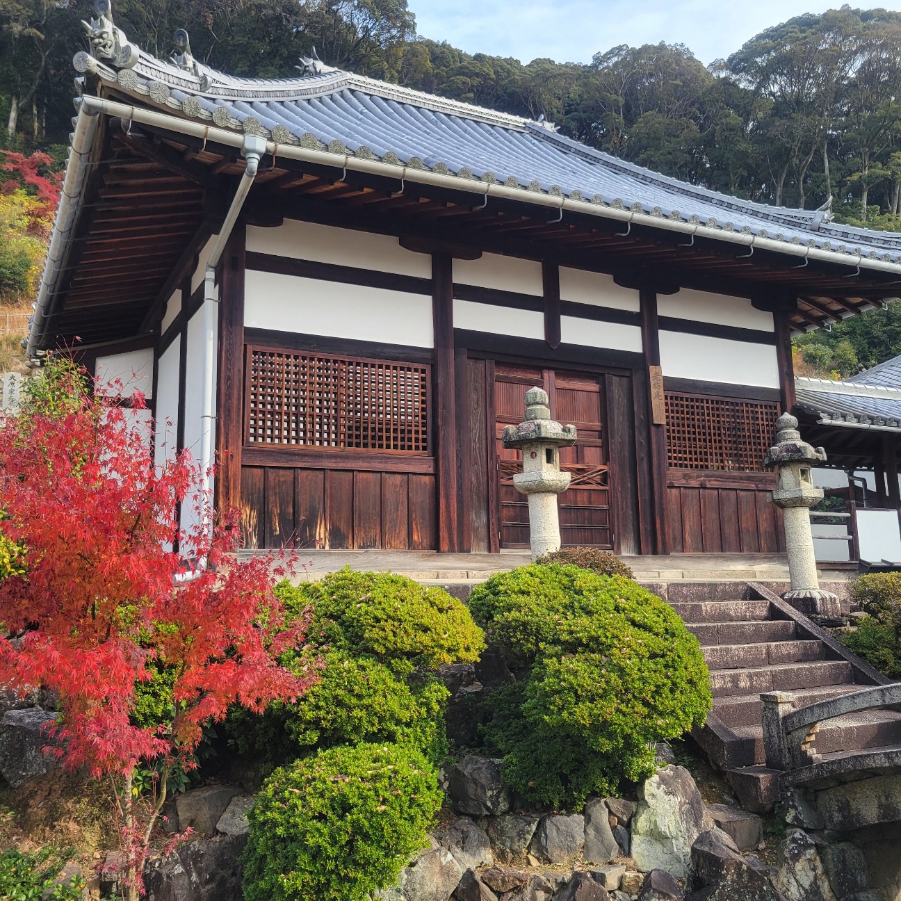 f:id:atoriatoriatori:20260108110211j:image