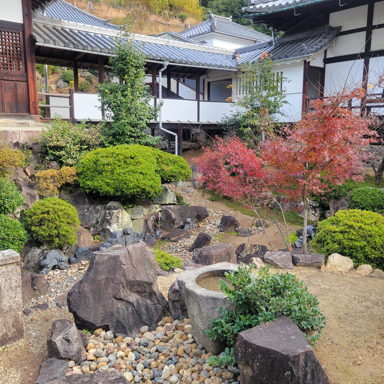 f:id:atoriatoriatori:20260108125404j:image