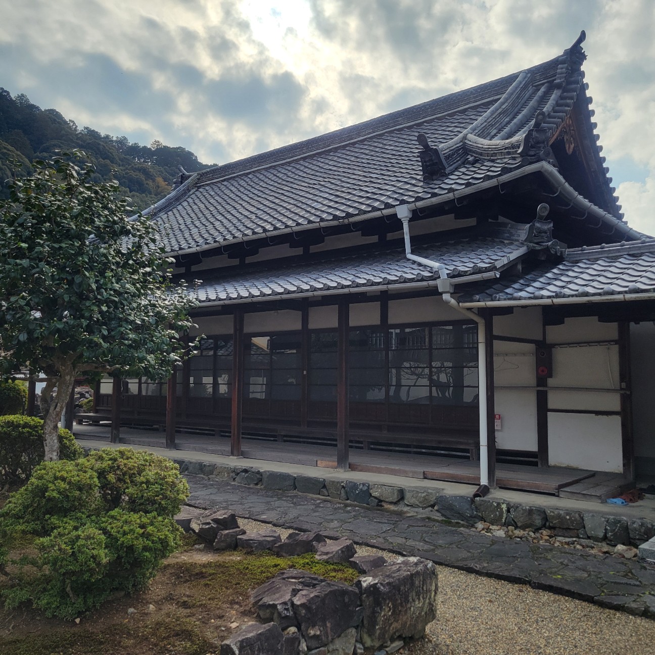 f:id:atoriatoriatori:20260108125417j:image