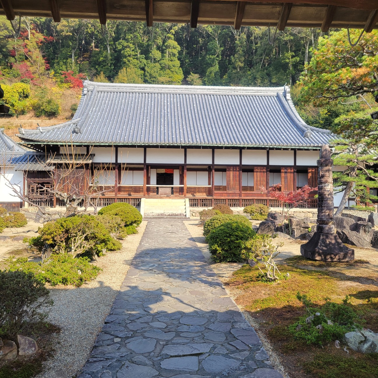 f:id:atoriatoriatori:20260108125948j:image