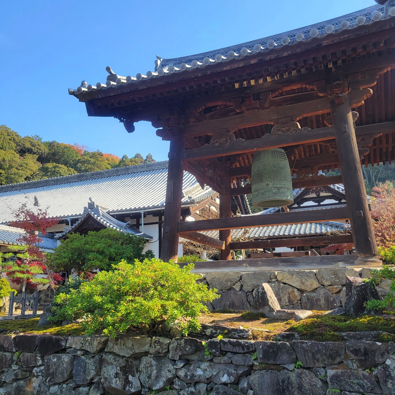 f:id:atoriatoriatori:20260108144500j:image