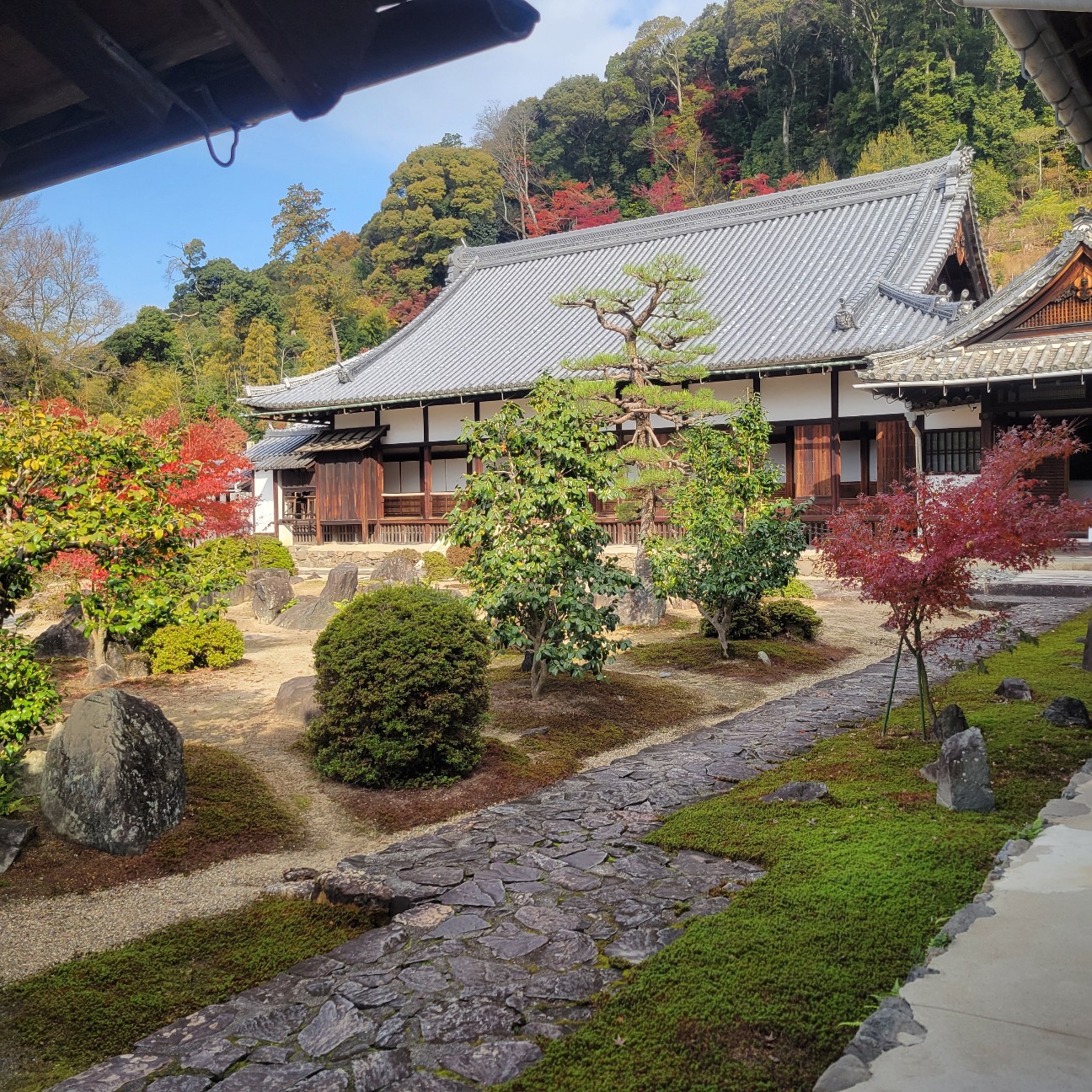 f:id:atoriatoriatori:20260108155808j:image