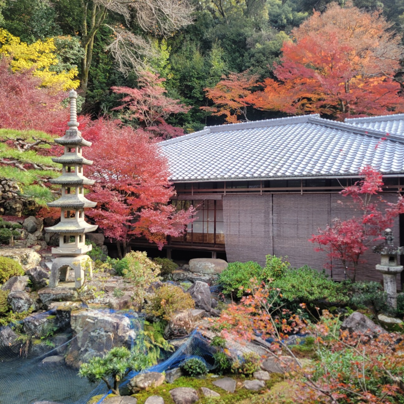 f:id:atoriatoriatori:20260108165612j:image