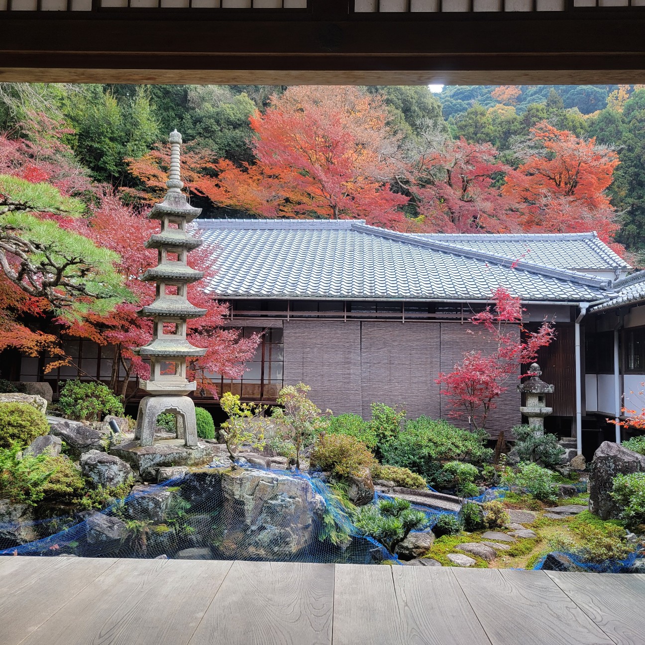 f:id:atoriatoriatori:20260108165633j:image