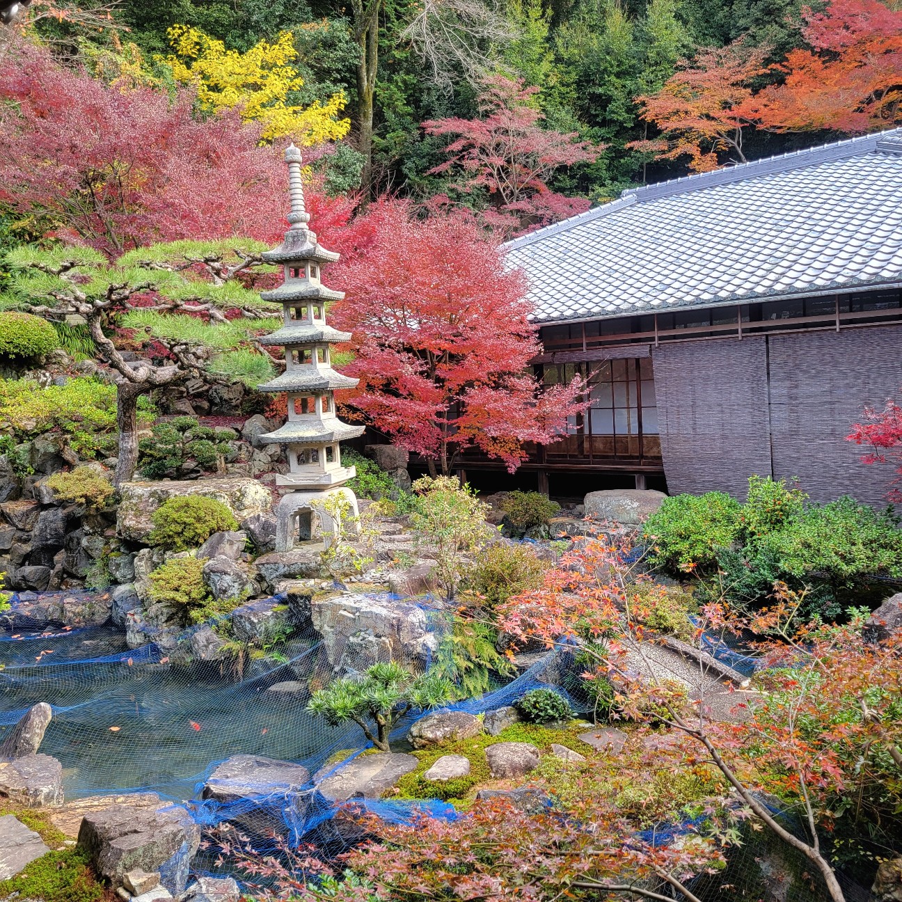 f:id:atoriatoriatori:20260108170443j:image