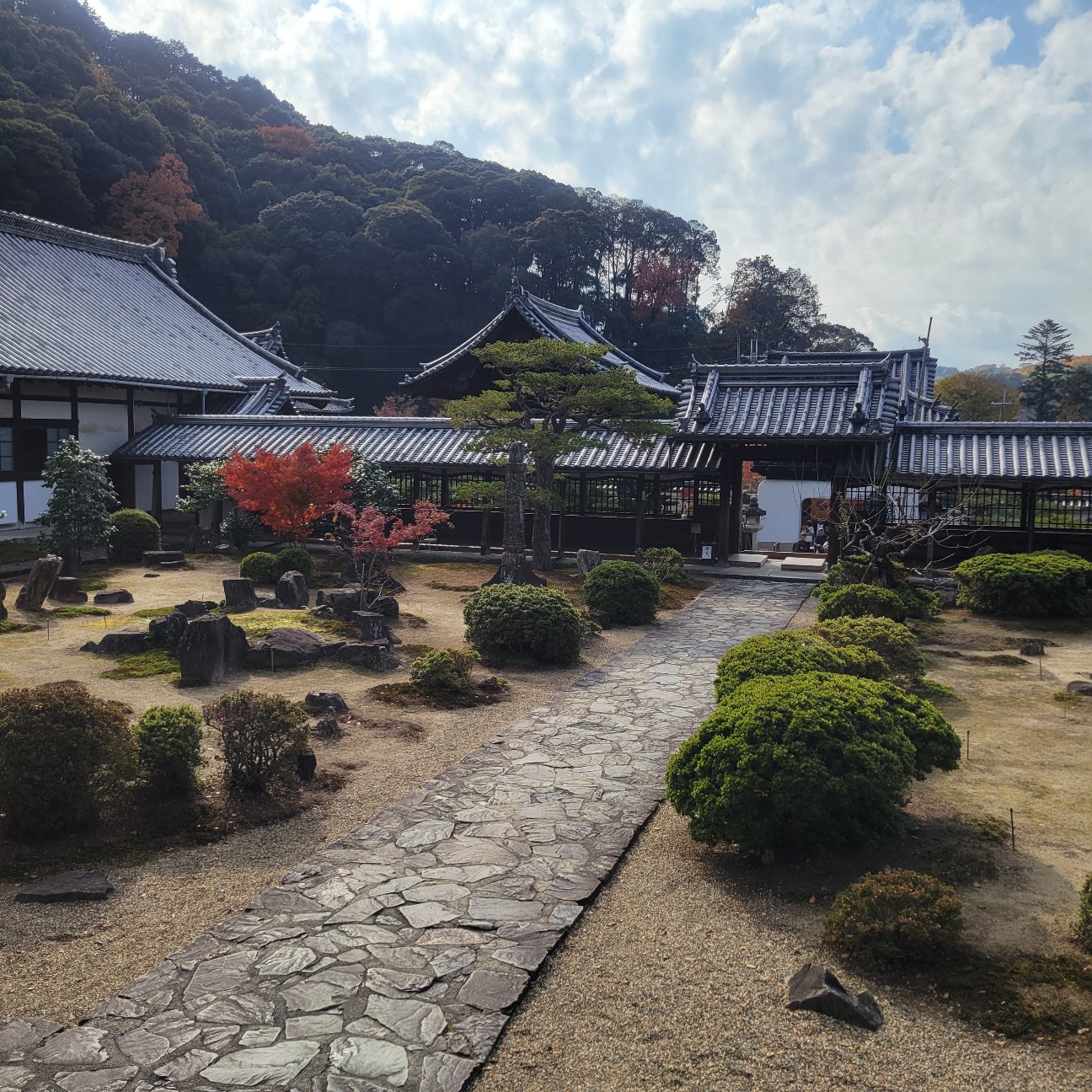 f:id:atoriatoriatori:20260108215123j:image