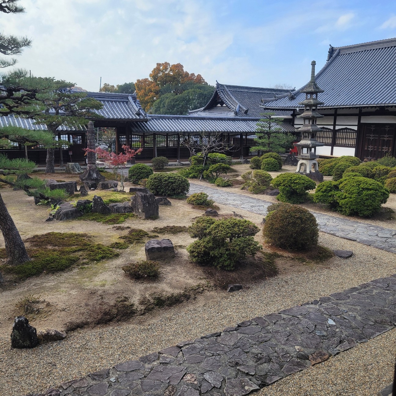 f:id:atoriatoriatori:20260108215133j:image