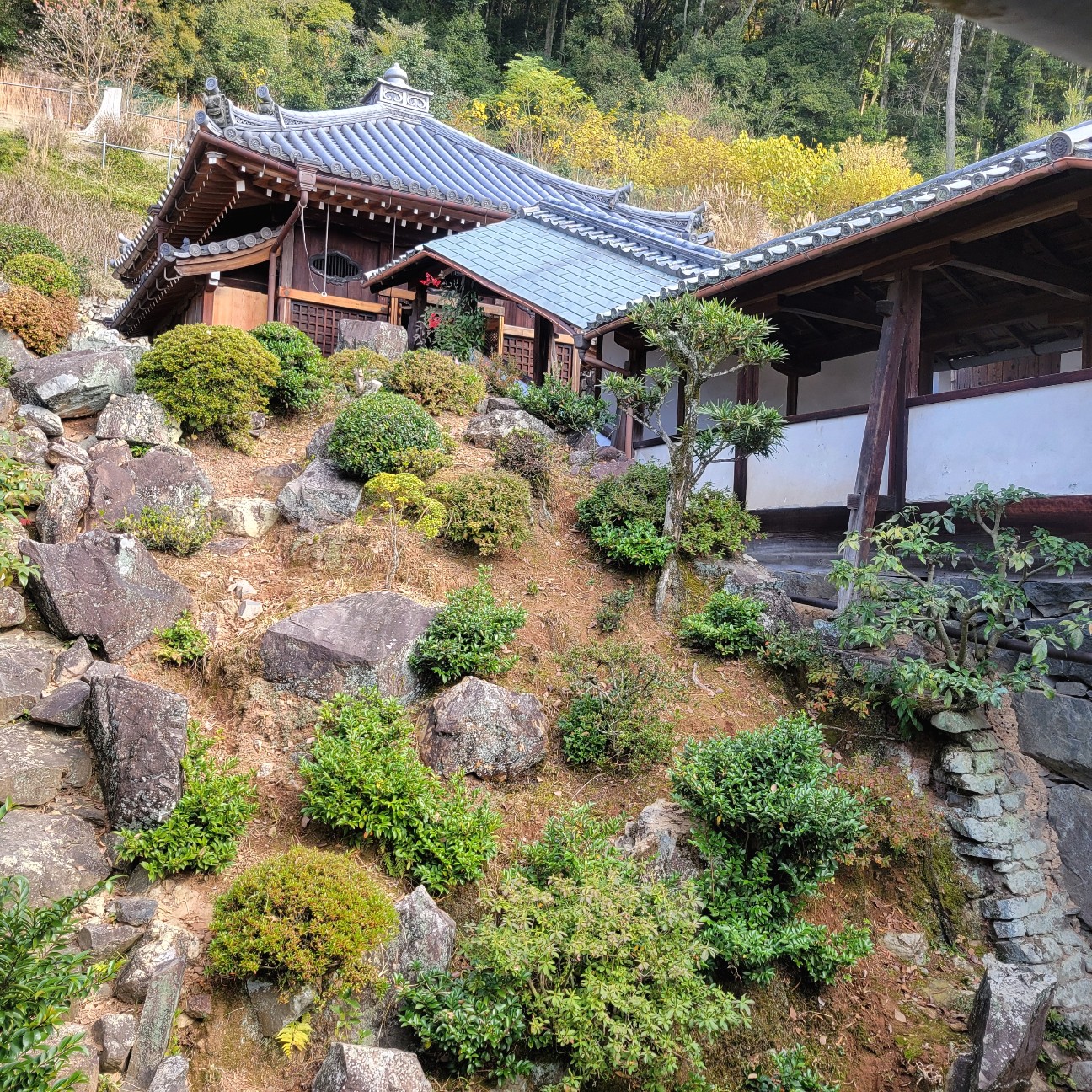 f:id:atoriatoriatori:20260109101754j:image