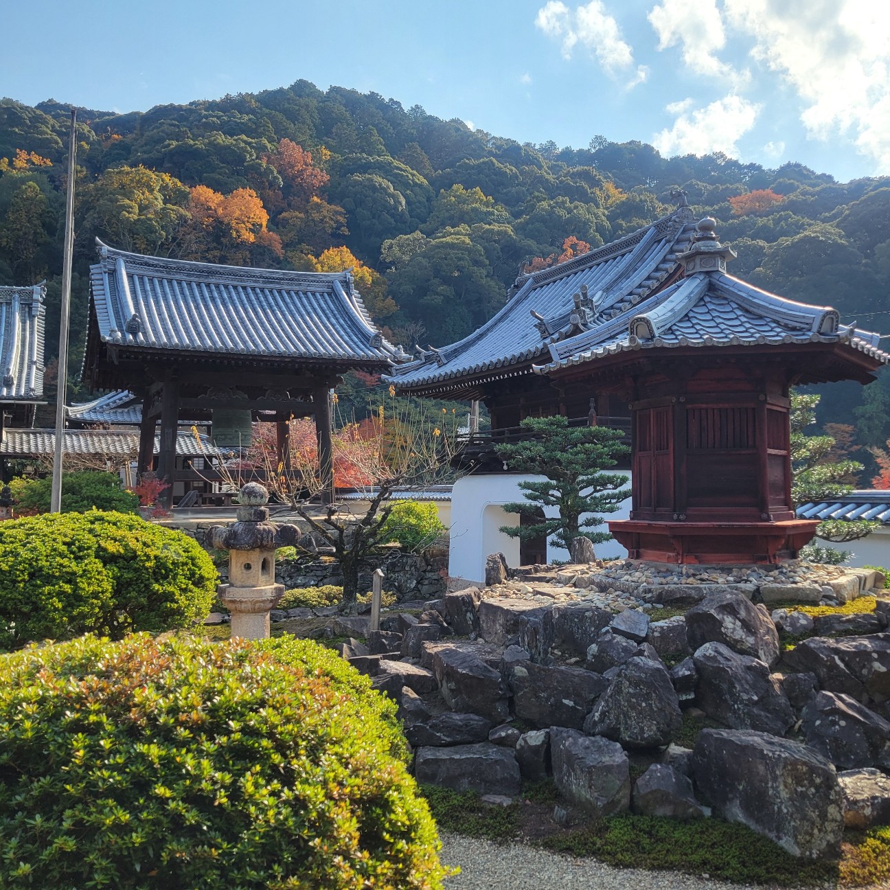 f:id:atoriatoriatori:20260109111402j:image