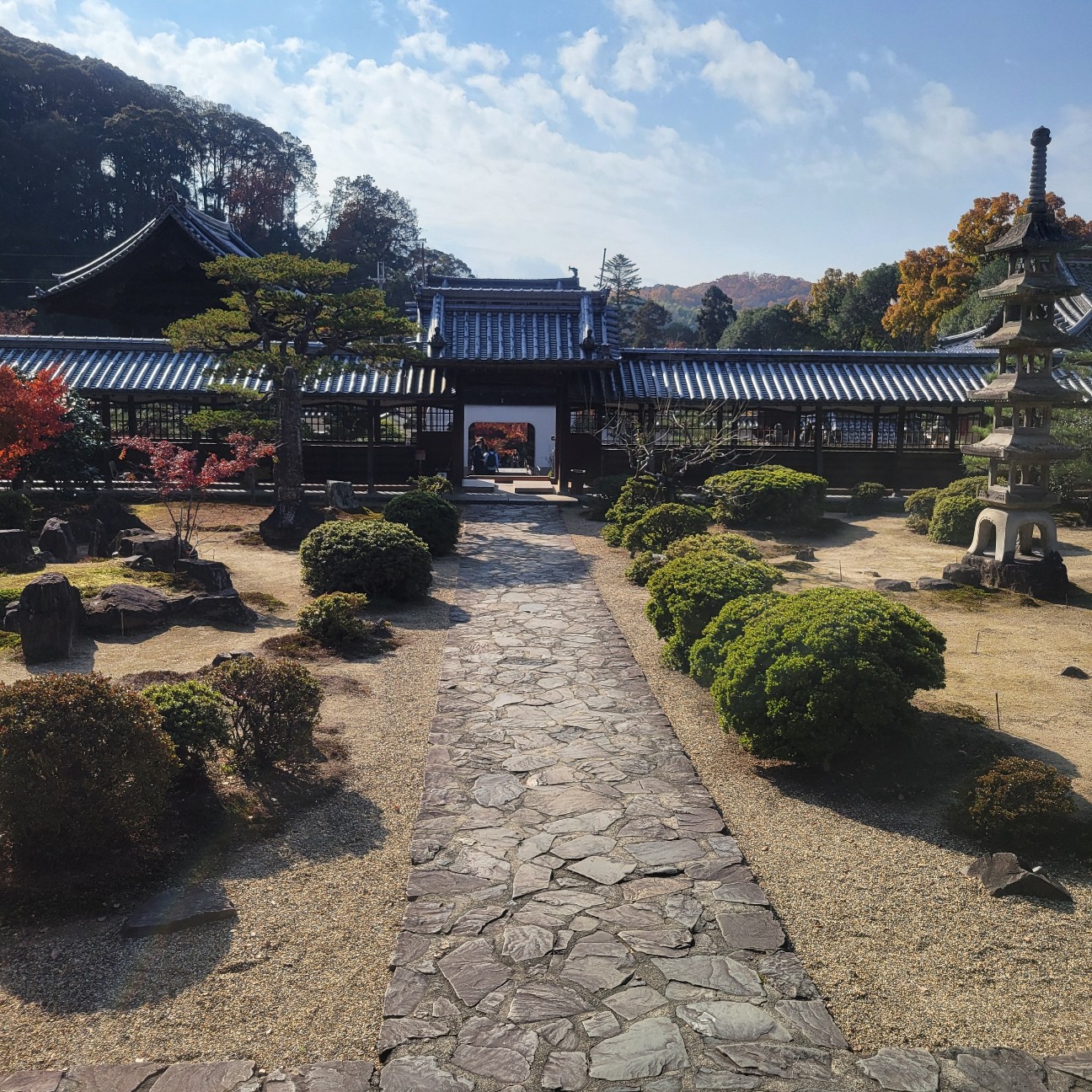 f:id:atoriatoriatori:20260109111611j:image
