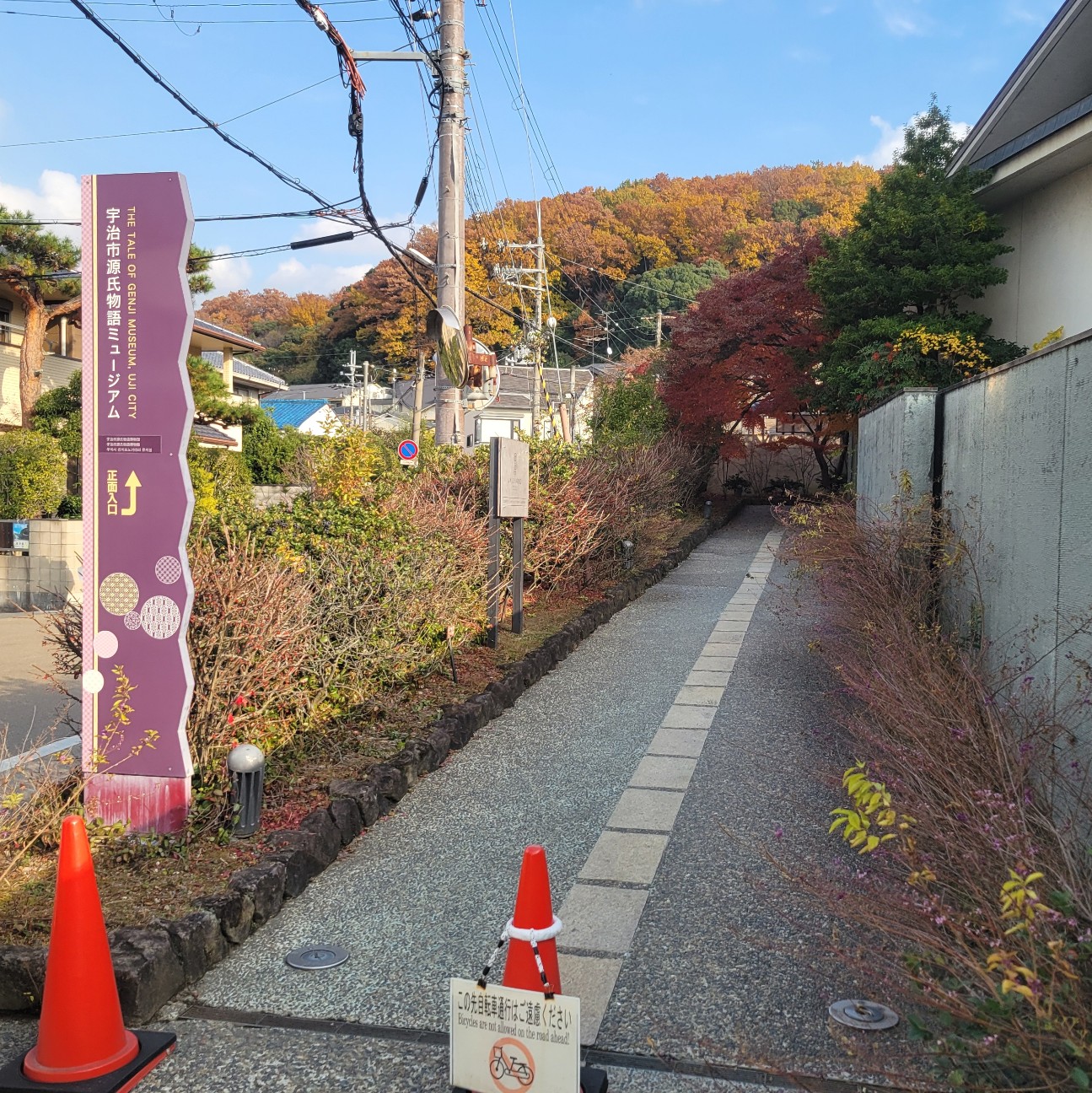 f:id:atoriatoriatori:20260109164704j:image