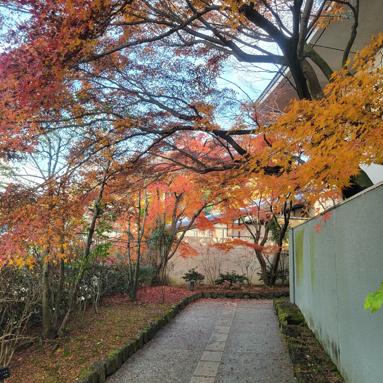 f:id:atoriatoriatori:20260109165238j:image