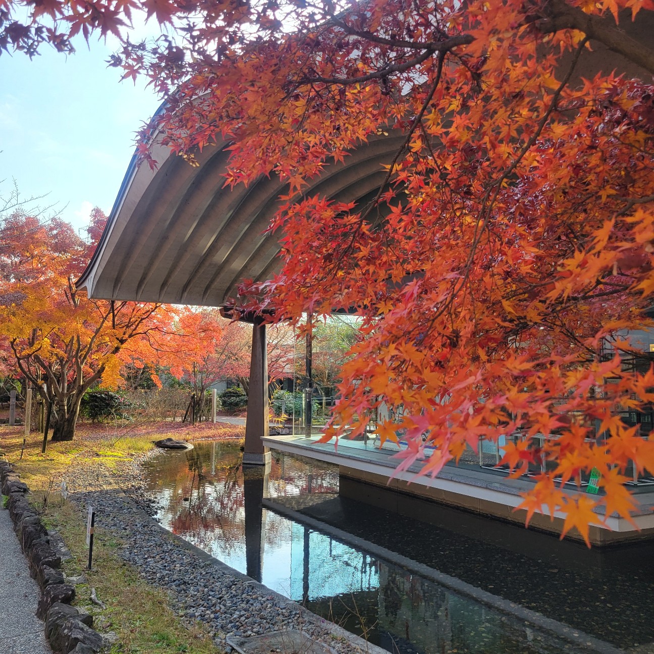 f:id:atoriatoriatori:20260109165438j:image