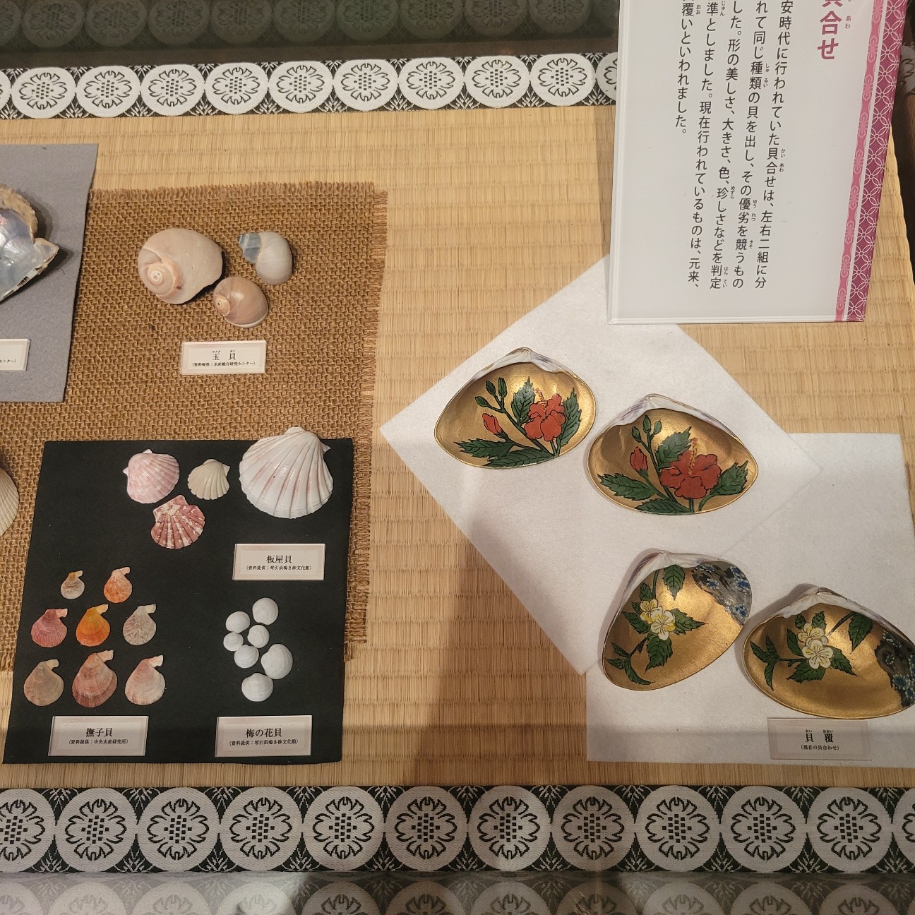f:id:atoriatoriatori:20260109175201j:image