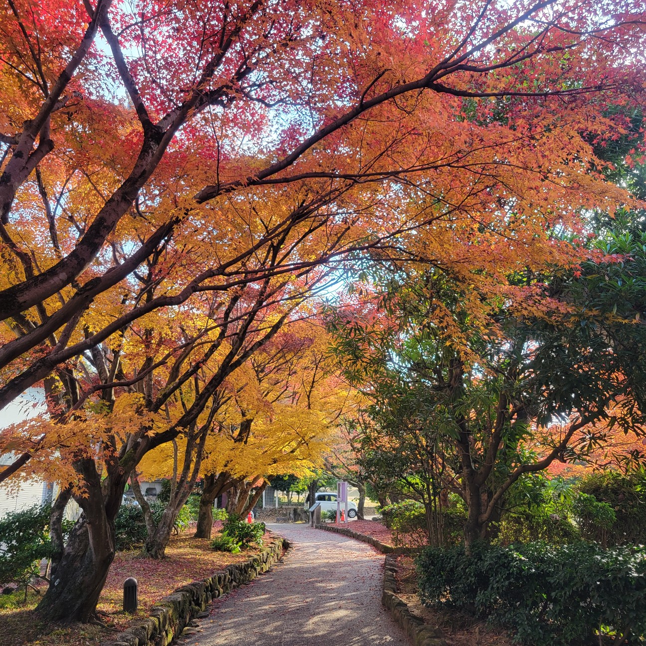 f:id:atoriatoriatori:20260110092959j:image