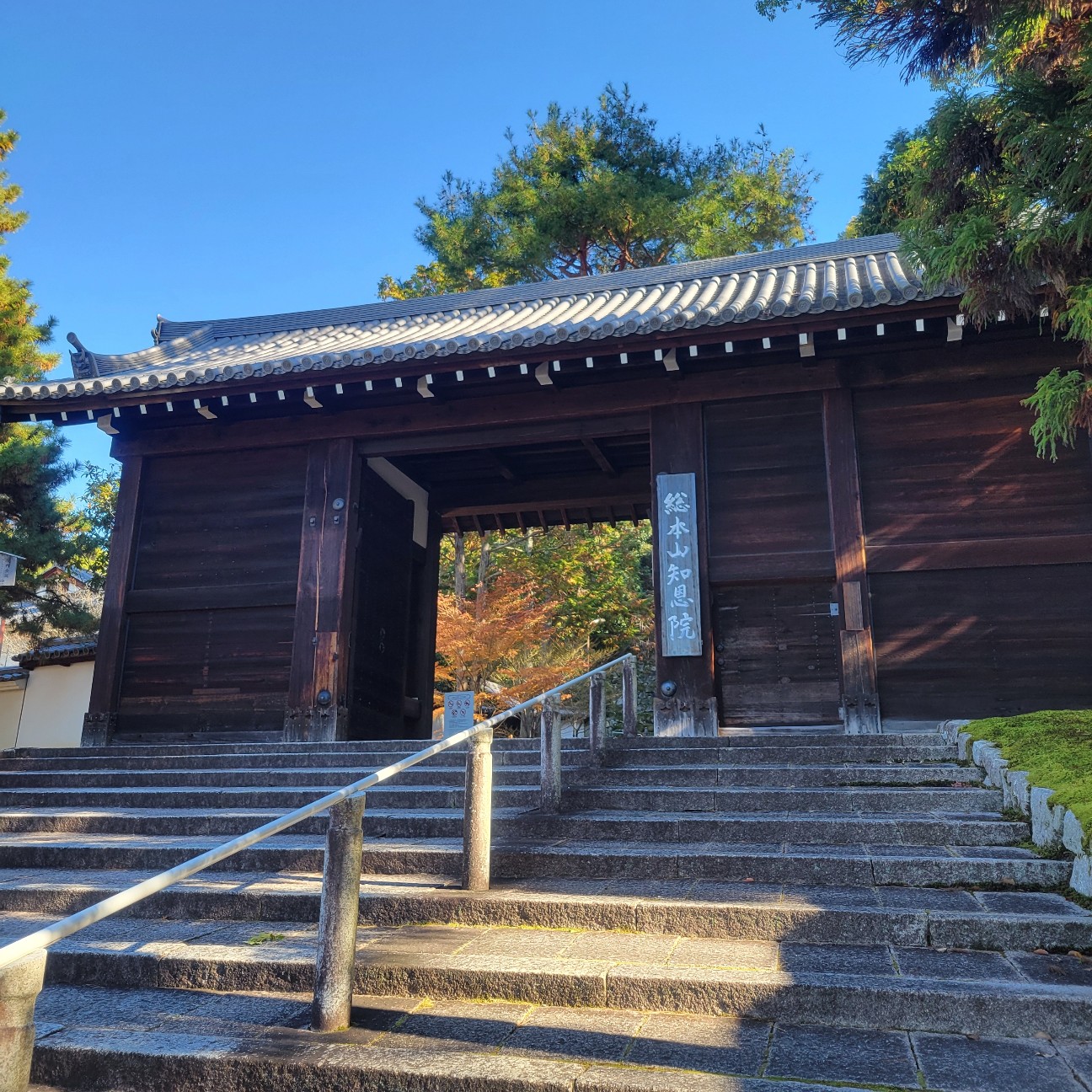 f:id:atoriatoriatori:20260111100153j:image