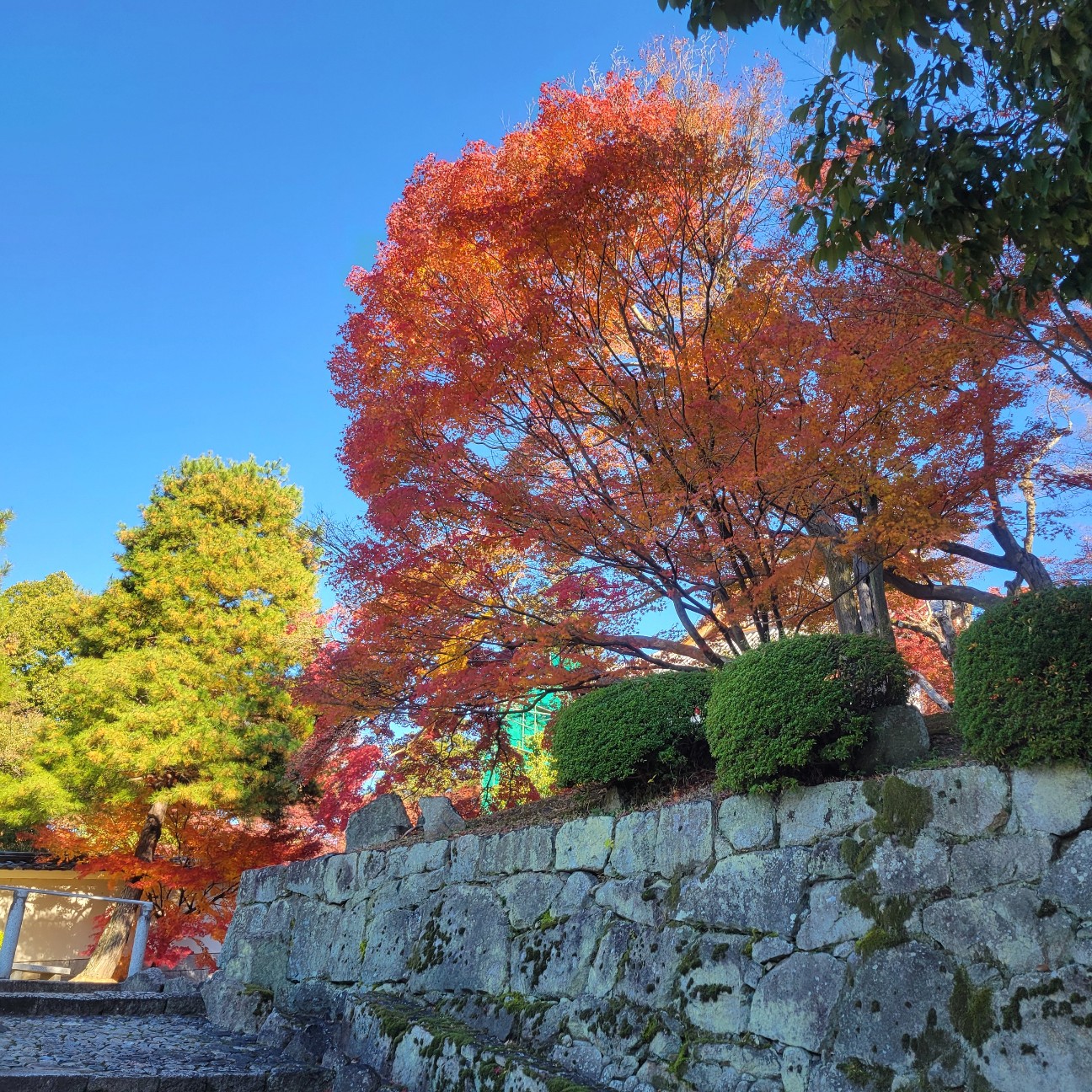 f:id:atoriatoriatori:20260111111105j:image