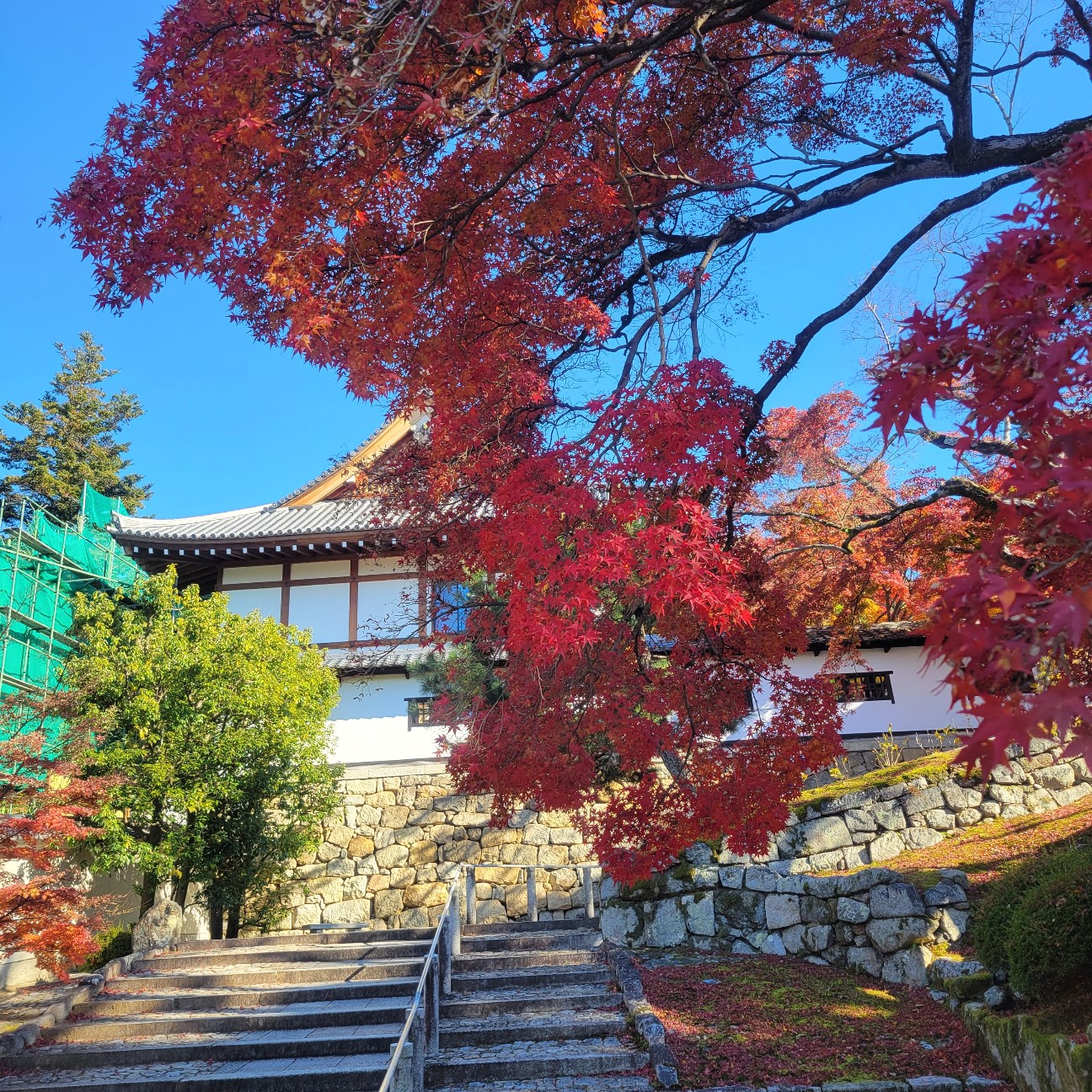f:id:atoriatoriatori:20260111111707j:image