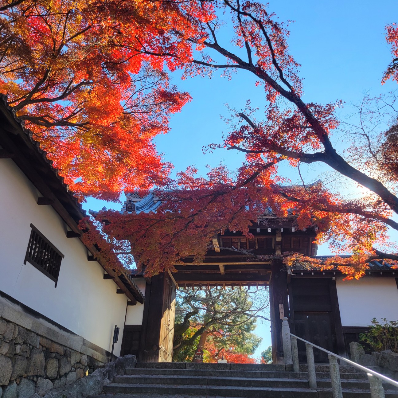 f:id:atoriatoriatori:20260111111721j:image