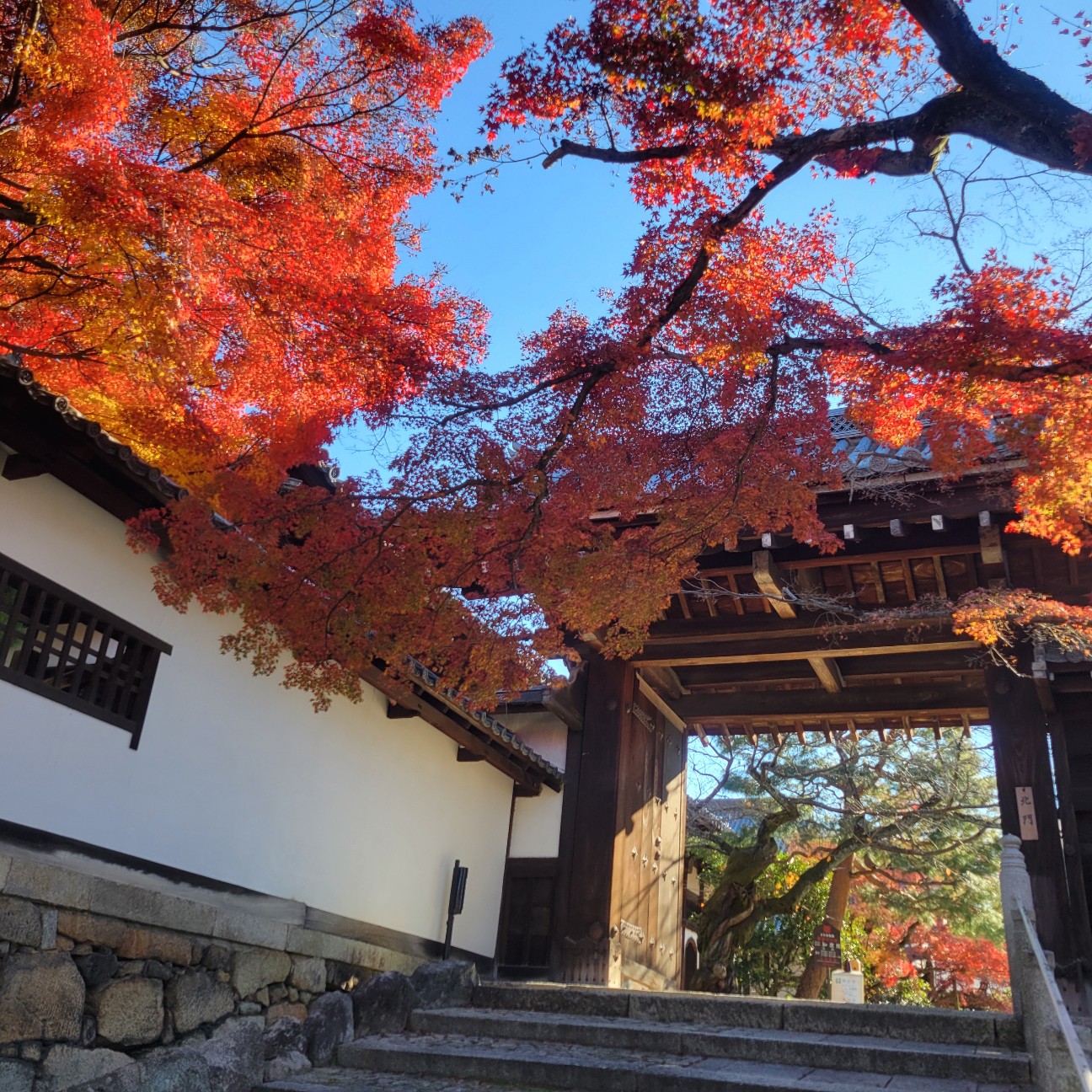 f:id:atoriatoriatori:20260111111739j:image