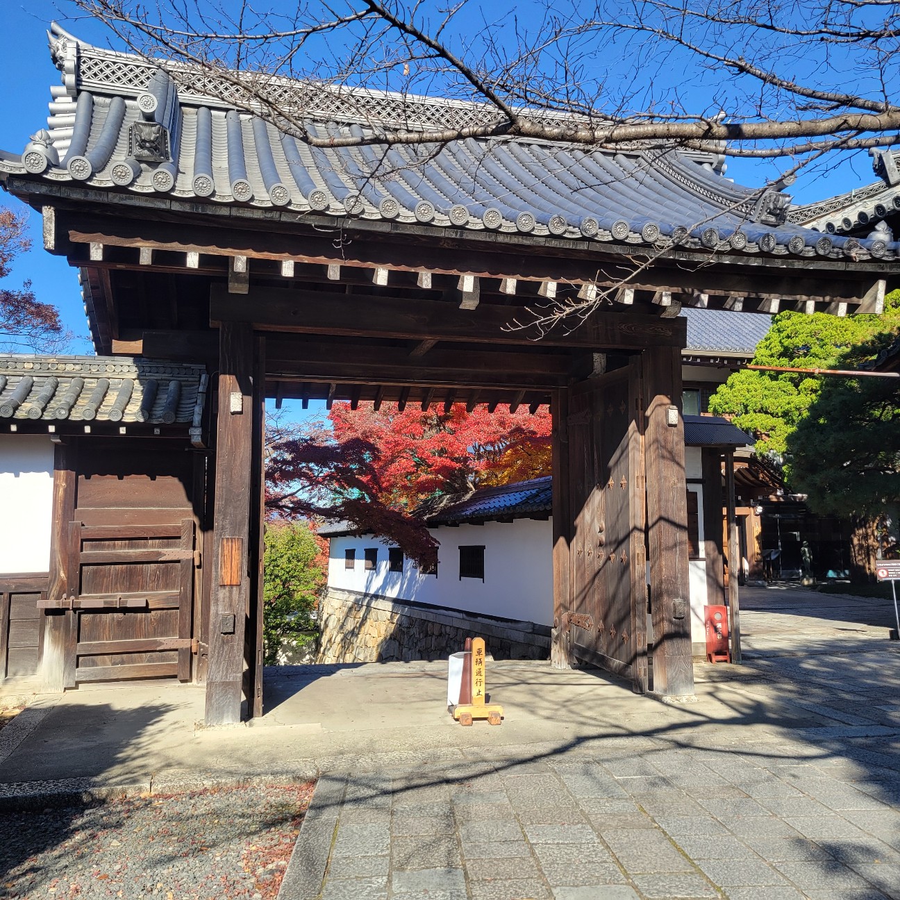 f:id:atoriatoriatori:20260111112059j:image