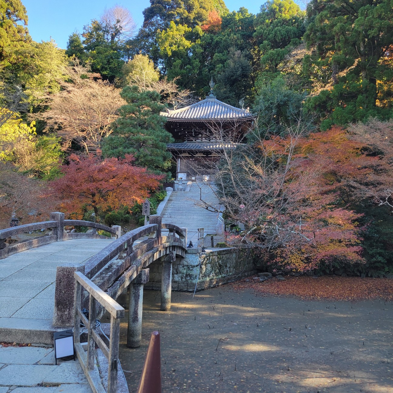 f:id:atoriatoriatori:20260111112121j:image